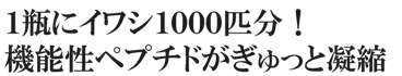 １瓶にイワシ１０００匹分！機能性ペプチドがぎゅっと凝縮　