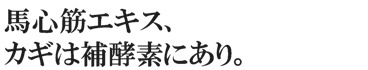 馬心筋エキス、カギは補酵素にあり。