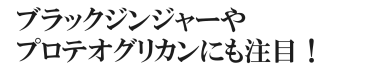 ブラックジンジャーやプロテオグリカンにも注目！