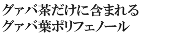 グァバ茶だけに含まれるグァバ葉ポリフェノール