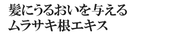 髪にうるおいを与えるムラサキ根エキス