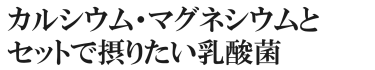 カルシウム・マグネシウムとセットで摂りたい乳酸菌