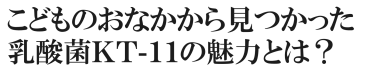 こどものおなかから見つかった乳酸菌ＫＴ-１１の魅力とは？