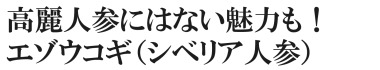 高麗人参にはない魅力も！エゾウコギ（シベリア人参）