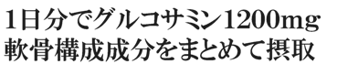 １日分でグルコサミン１２００ｍｇ軟骨構成成分をまとめて摂取