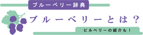 ブルーベリーとは？