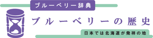 ブルーベリーの歴史