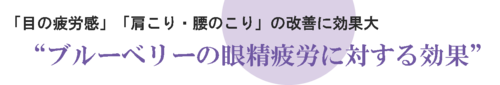 「目の疲労感」「肩こり・腰のこり」の改善に効果大・ブルーベリーの眼精疲労に対する効果