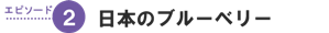 日本のブルーベリー