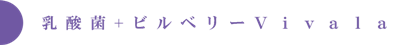 乳酸菌入りビルベリーエキスvivala（ビバラ）