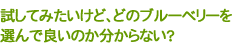 試してみたいけど、どのブルーベリーを選んで良いのか分からない?