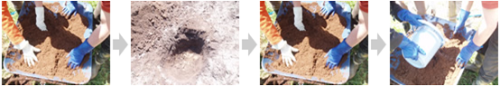 ブルーベリー植栽の様子