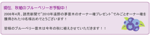 秋植えのブルーベリーを手配中です♪