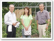 遠野ブルーベリー畑の様子５
