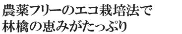 農薬フリーのエコ栽培法で林檎の恵みがたっぷり