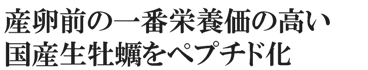 産卵前の一番栄養価の高い国産生牡蠣をペプチド化