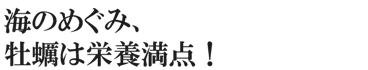 海のめぐみ、牡蠣は栄養満点