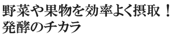 野菜や果物を効率よく摂取！発酵のチカラ